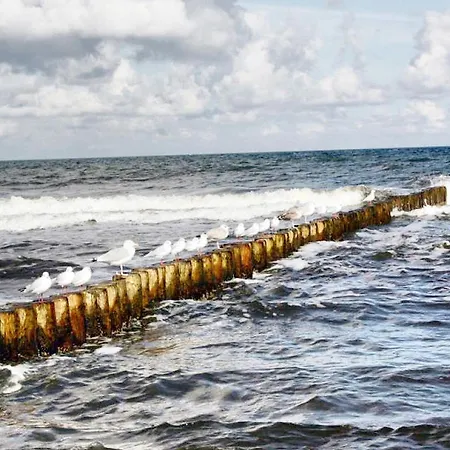 Haus Seegurke Nyaraló